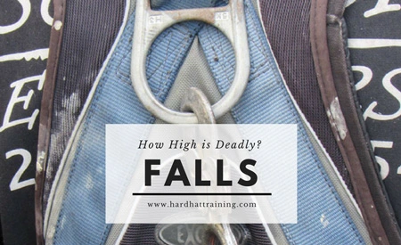 Falls: How High is Deadly?