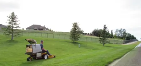 Lawn Mower- What You Should Know