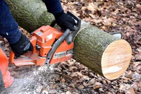 In the News: Georgia Man Killed in Chainsaw Accident