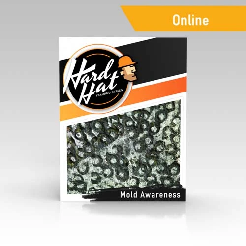 Mold Training in Spanish 100 Online Mold Certificaiton